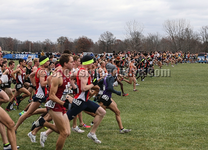 2016NCAAXC-120.JPG - Nov 18, 2016; Terre Haute, IN, USA;  at the LaVern Gibson Championship Cross Country Course for the 2016 NCAA cross country championships.